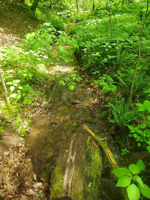 Todd Lake Recreation Area Campground Picture 9