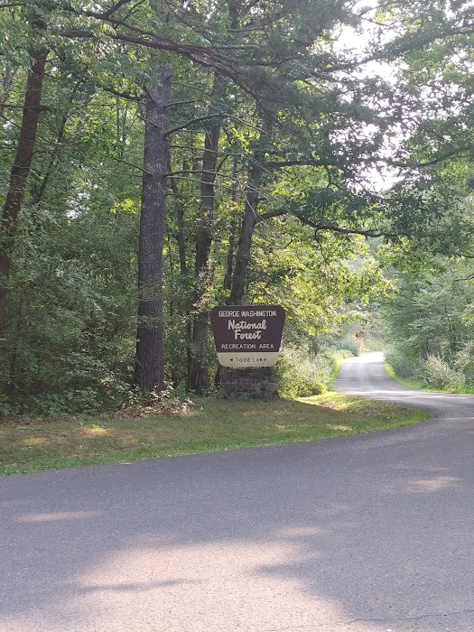 Todd Lake Recreation Area Campground Picture 7