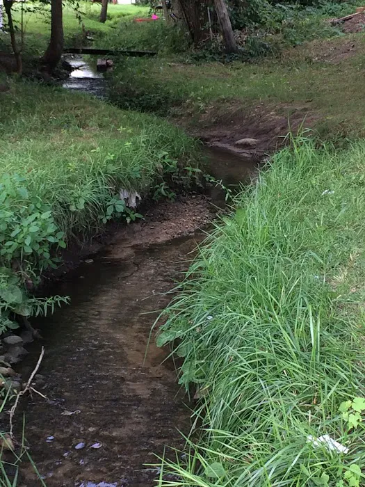 Brookhaven Park Picture 7
