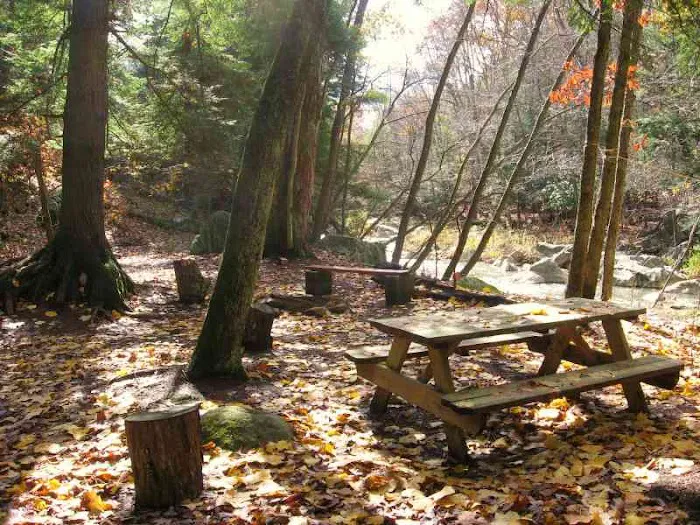 Abrams Creek Retreat & Campground Picture 7