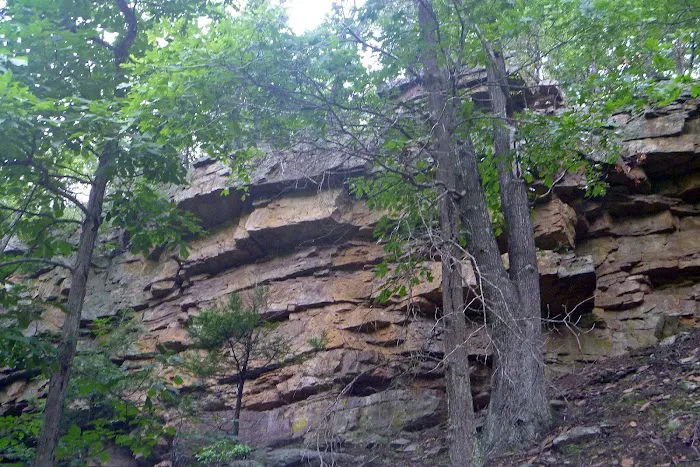 Big Bend Campground Picture 4