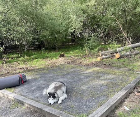 Big Bend Campground
