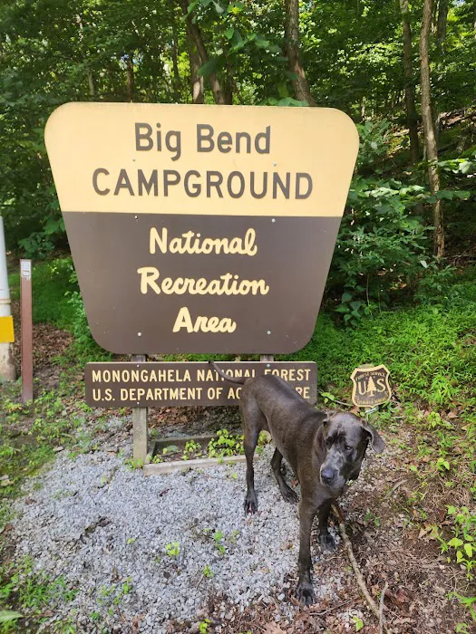 Big Bend Campground Picture 8
