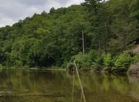 Jess Judy Group Campground