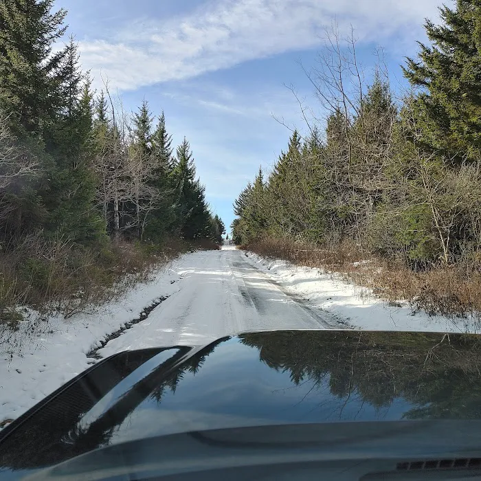 Red Creek Campground Picture 7