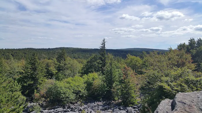 Red Creek Campground Picture 6