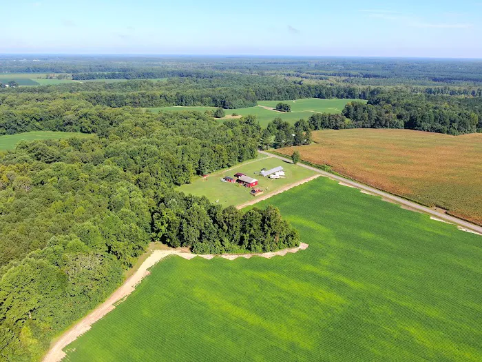 Thornton Farm Picture 1