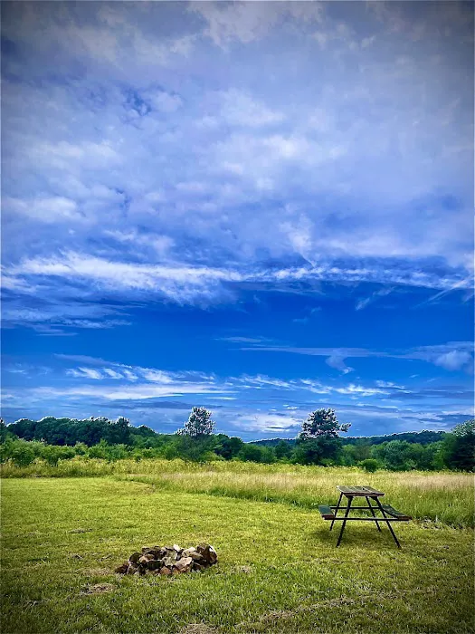 Tall Oaks Campground Picture 2