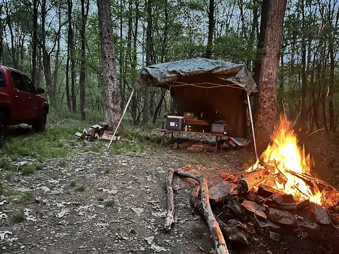 Tall Oaks Campground Picture 9