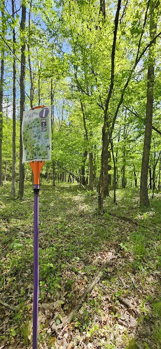Tall Oaks Campground Picture 4