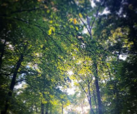 Tall Oaks Campground