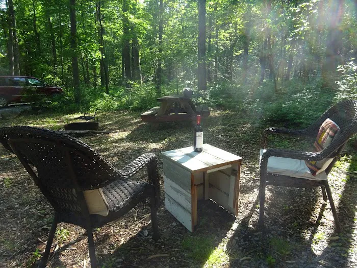Wild Yough Glamping Huts Picture 6
