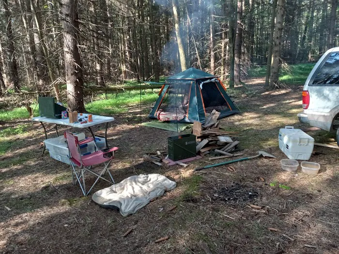 Pine Hill Campground Picture 7