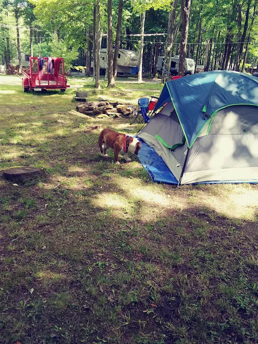 Pine Hill Campground Picture 2