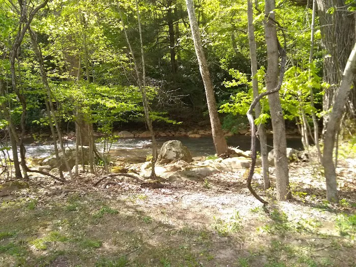 Cheat Canyon Campground Picture 9