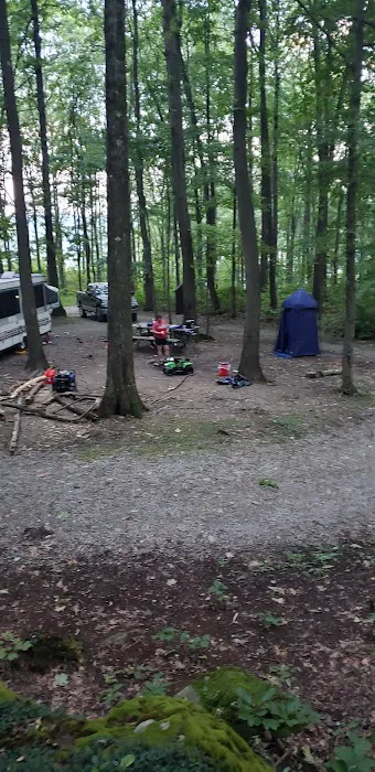 Forbes Campsite #4 Picture 4