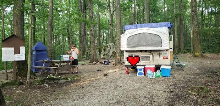 Forbes Campsite #4 Picture 5