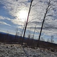 Camping Site -Shephard Rd ico