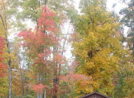 Allegheny I-80 Campground