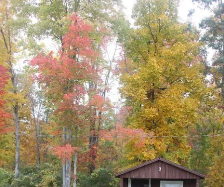 Allegheny I-80 Campground