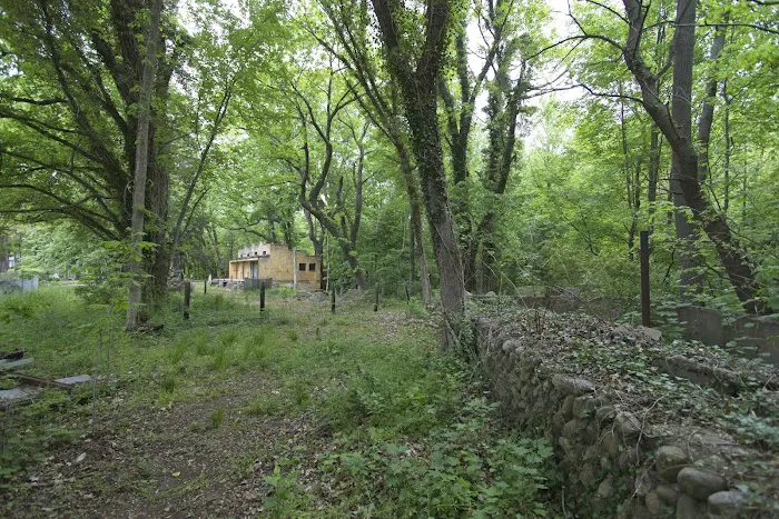 Eden Springs Park RV Campground Picture 6