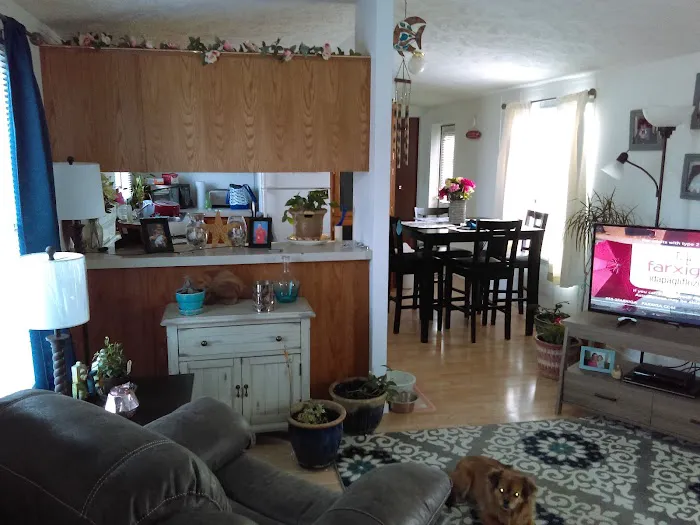 The Ravines Mobile Home Park Picture 3