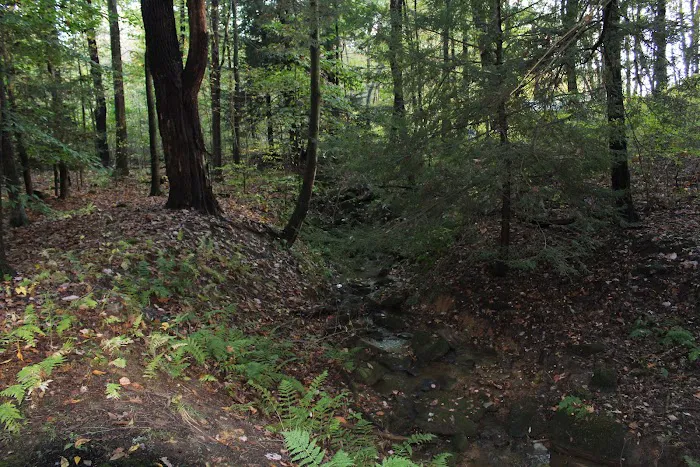 Lake Arthur Family Campground Picture 2