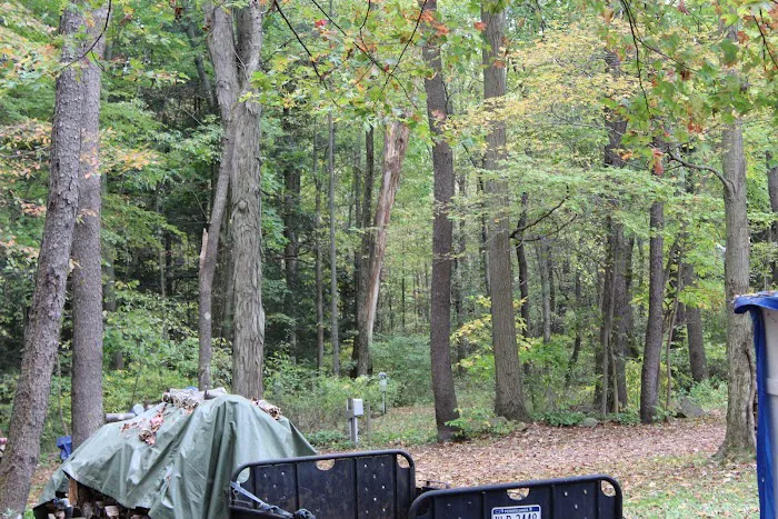 Lake Arthur Family Campground Picture 8