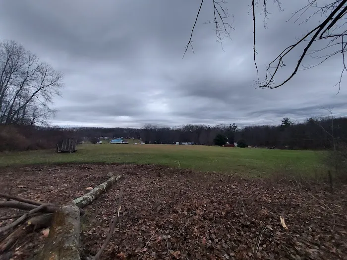 Lake Arthur Family Campground Picture 9