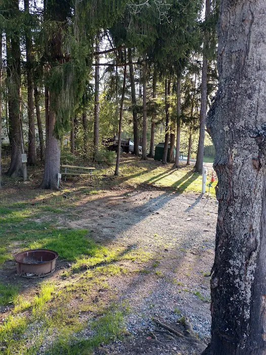 Whispering Pines Family Picture 10