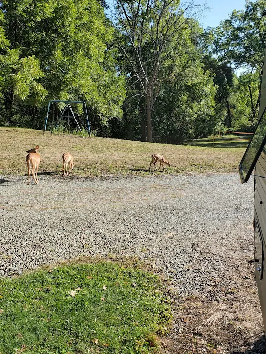Whispering Pines Family Picture 7
