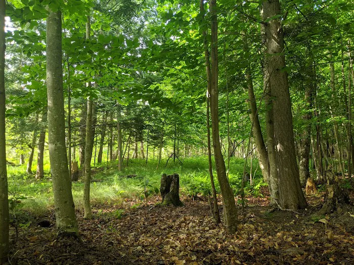 Blue Jay Campsites Picture 4