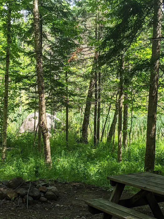 Blue Jay Campsites Picture 3