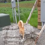 Ghent RV Park