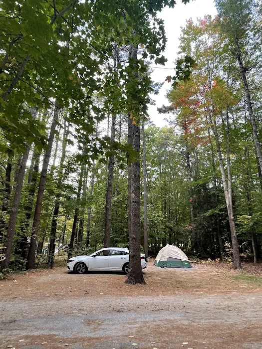 Bradbury Mountain State Park Campground Picture 5