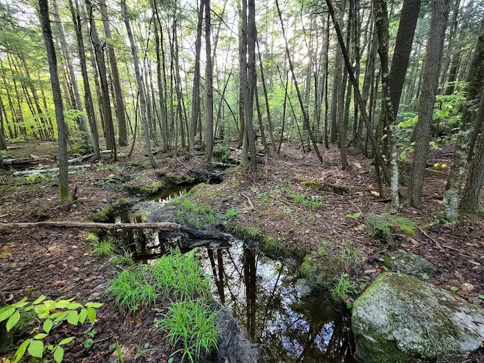 Bradbury Mountain State Park Campground Picture 4