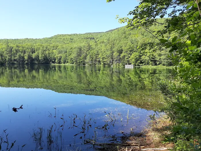 Crocker Pond Campground Picture 1