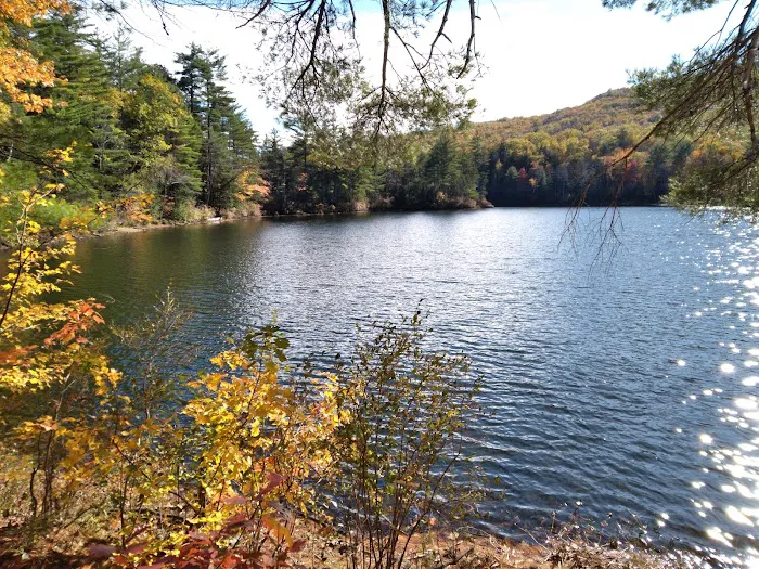 Crocker Pond Campground Picture 8