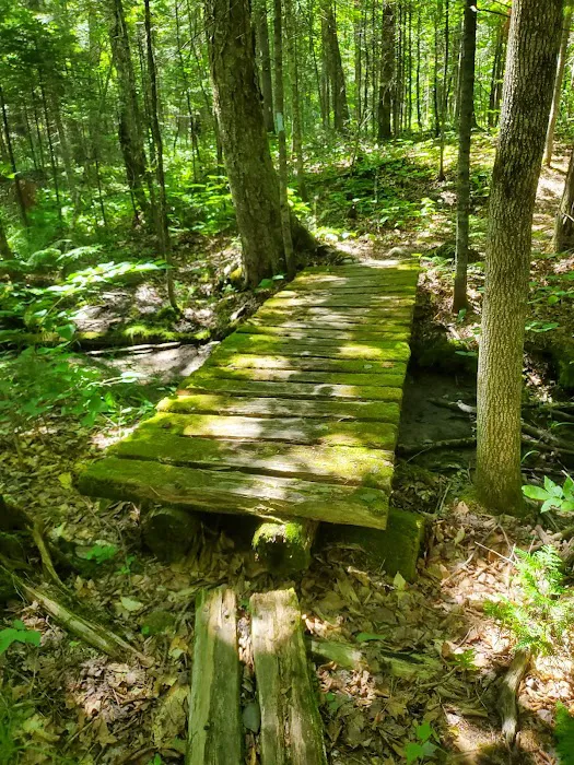 Mt Blue State Park Campground Picture 8