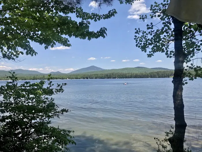 Mt Blue State Park Campground Picture 3