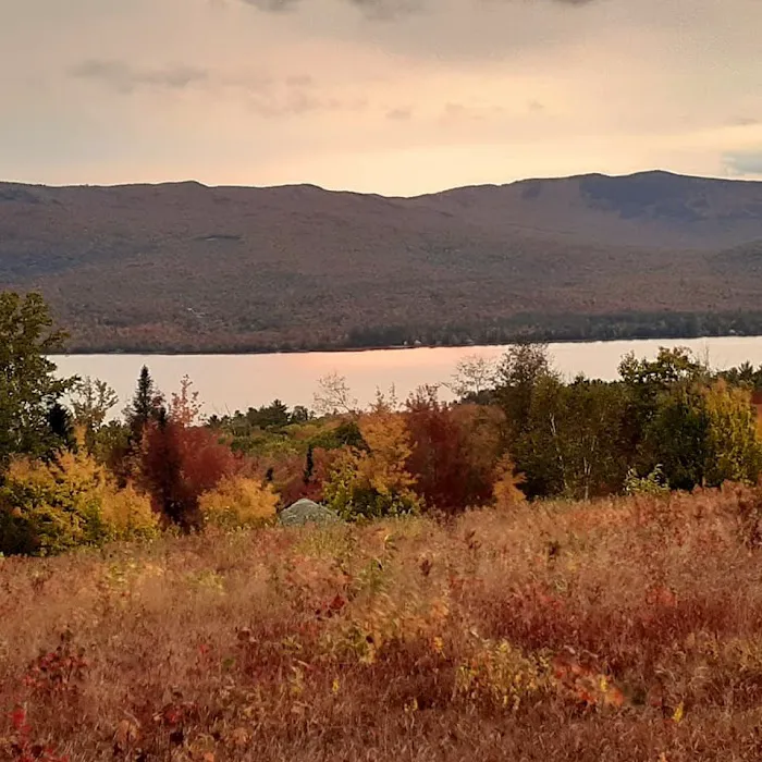 Mt Blue State Park Campground Picture 6