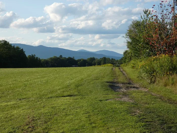 Mountain View Campground Picture 7