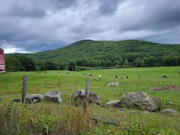 Mountain View Campground Picture 1