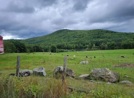 Mountain View Campground