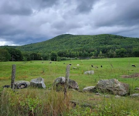 Mountain View Campground
