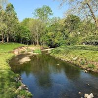 Winterbrook ico