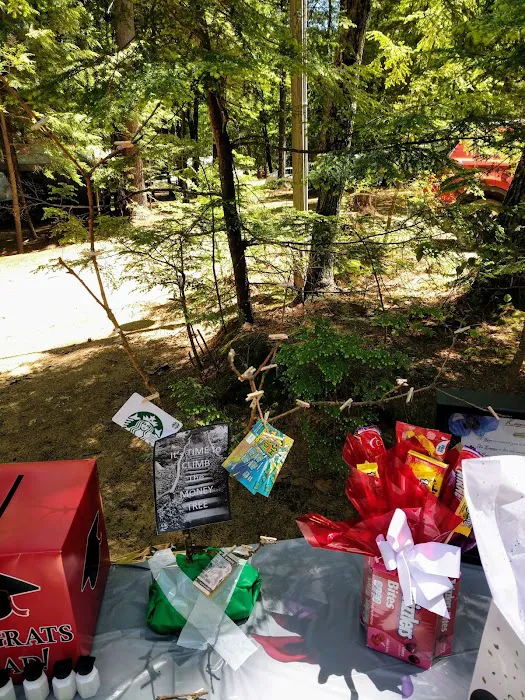 Two Lakes Camping Area Picture 6
