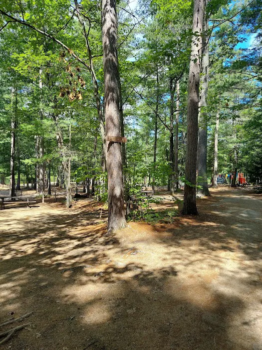 Papoose Pond Family Campground & Cabins Picture 8