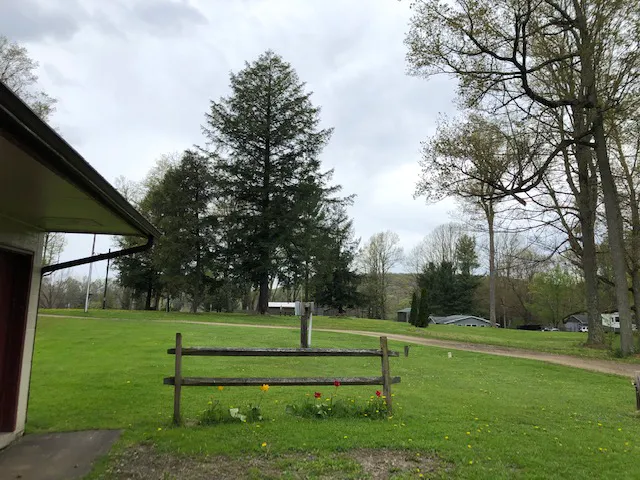 Mitchell Lake Campgrounds Picture 5