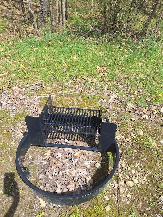 Woodcock Lake Park Campground Picture 10